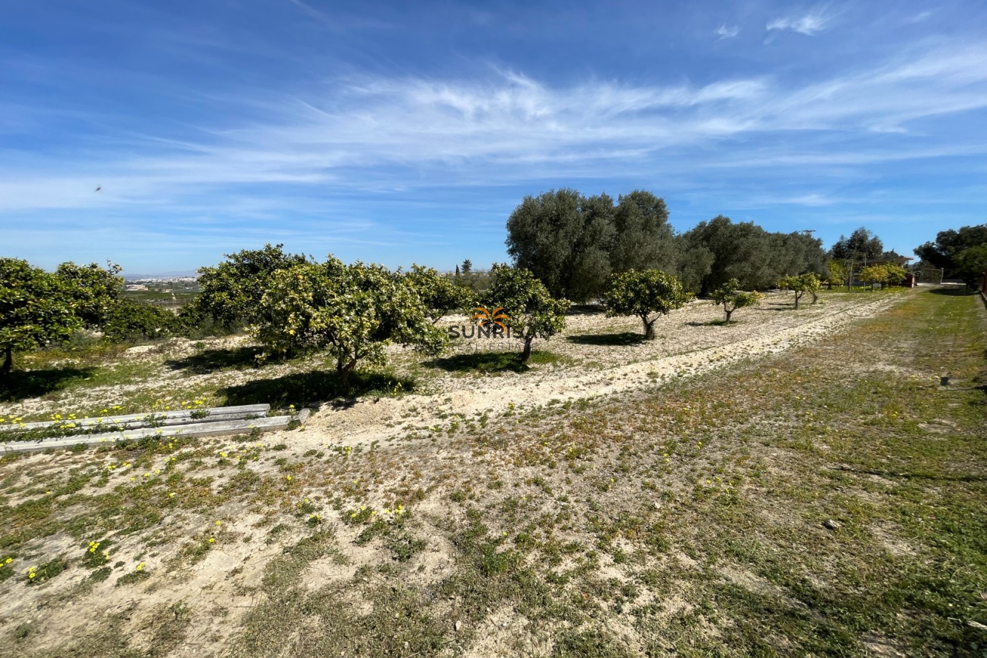 Resale - Villa - Guardamar del Segura