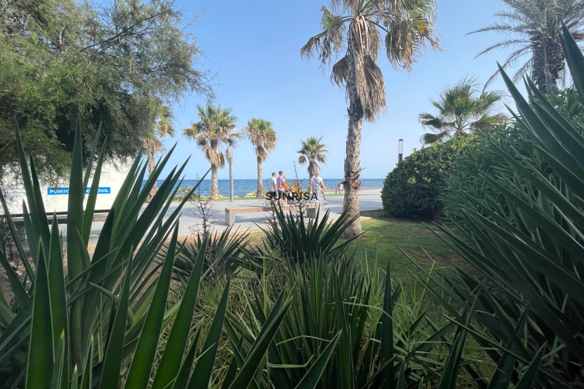 Reventa - Local comercial - Torrevieia