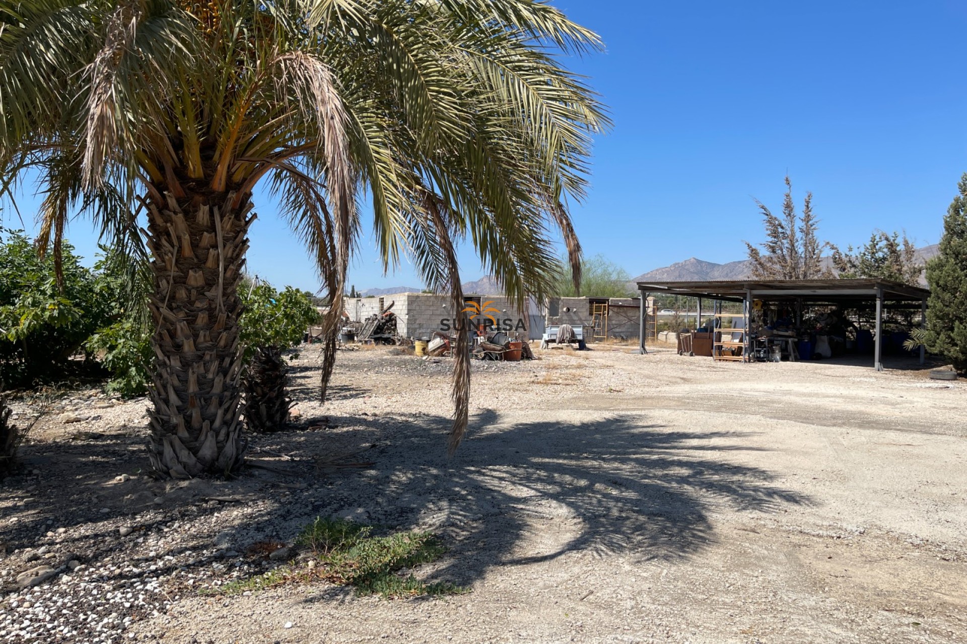 Reventa - Villa - Crevillente