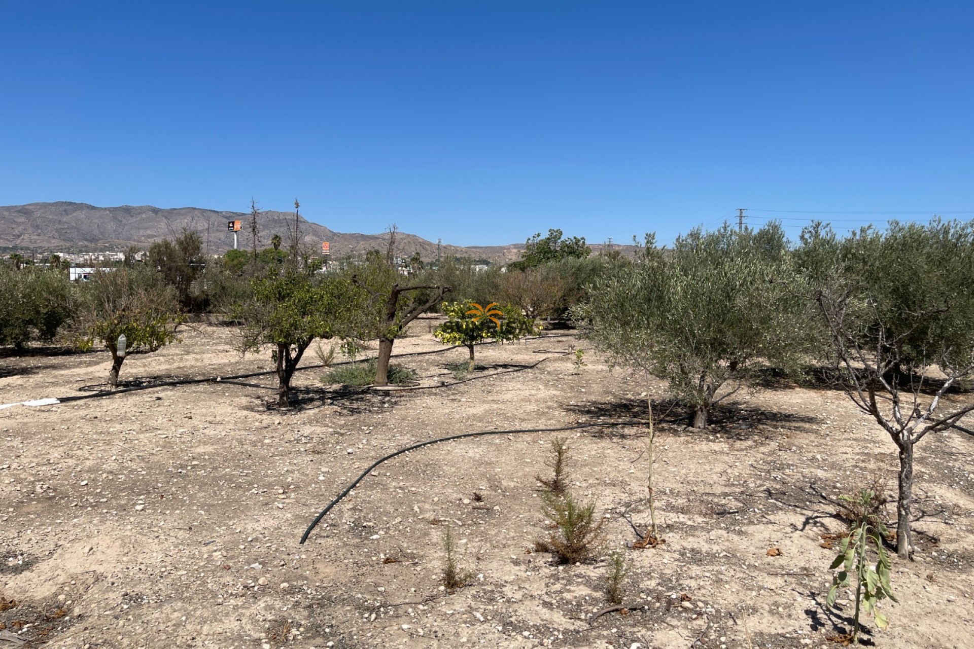 Reventa - Villa - Crevillente