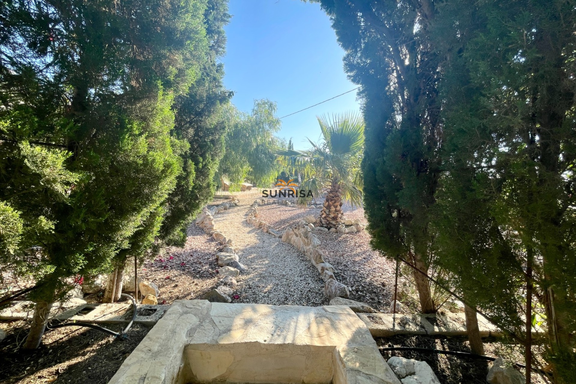 Herverkoop - Finca - Crevillente