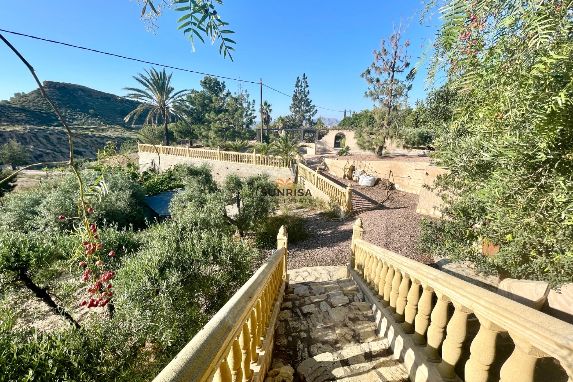 Herverkoop - Finca - Crevillente