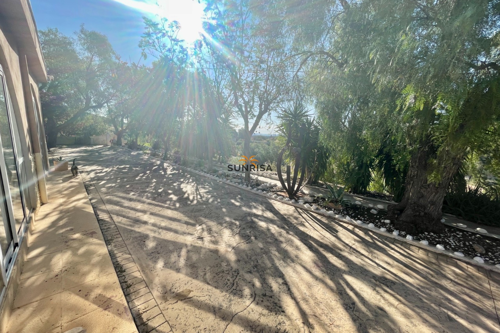 Herverkoop - Finca - Crevillente