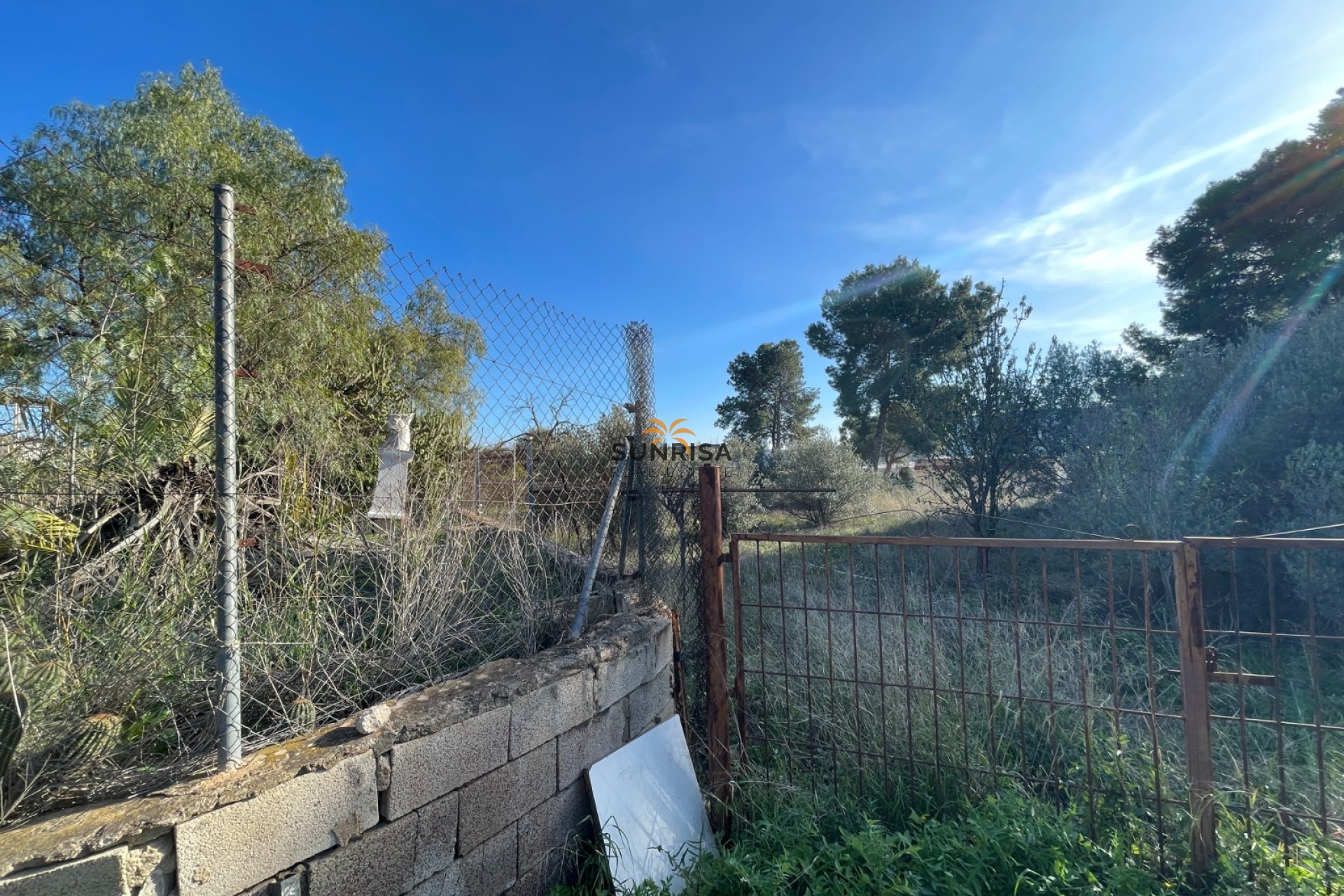 Reventa - Finca - Aspe