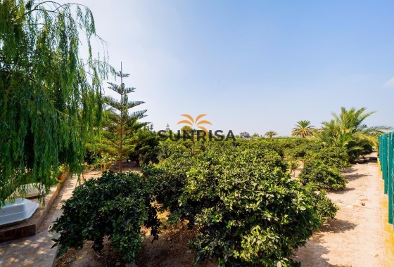 Finca · Herverkoop - Almoradí · Alicante · Spanje