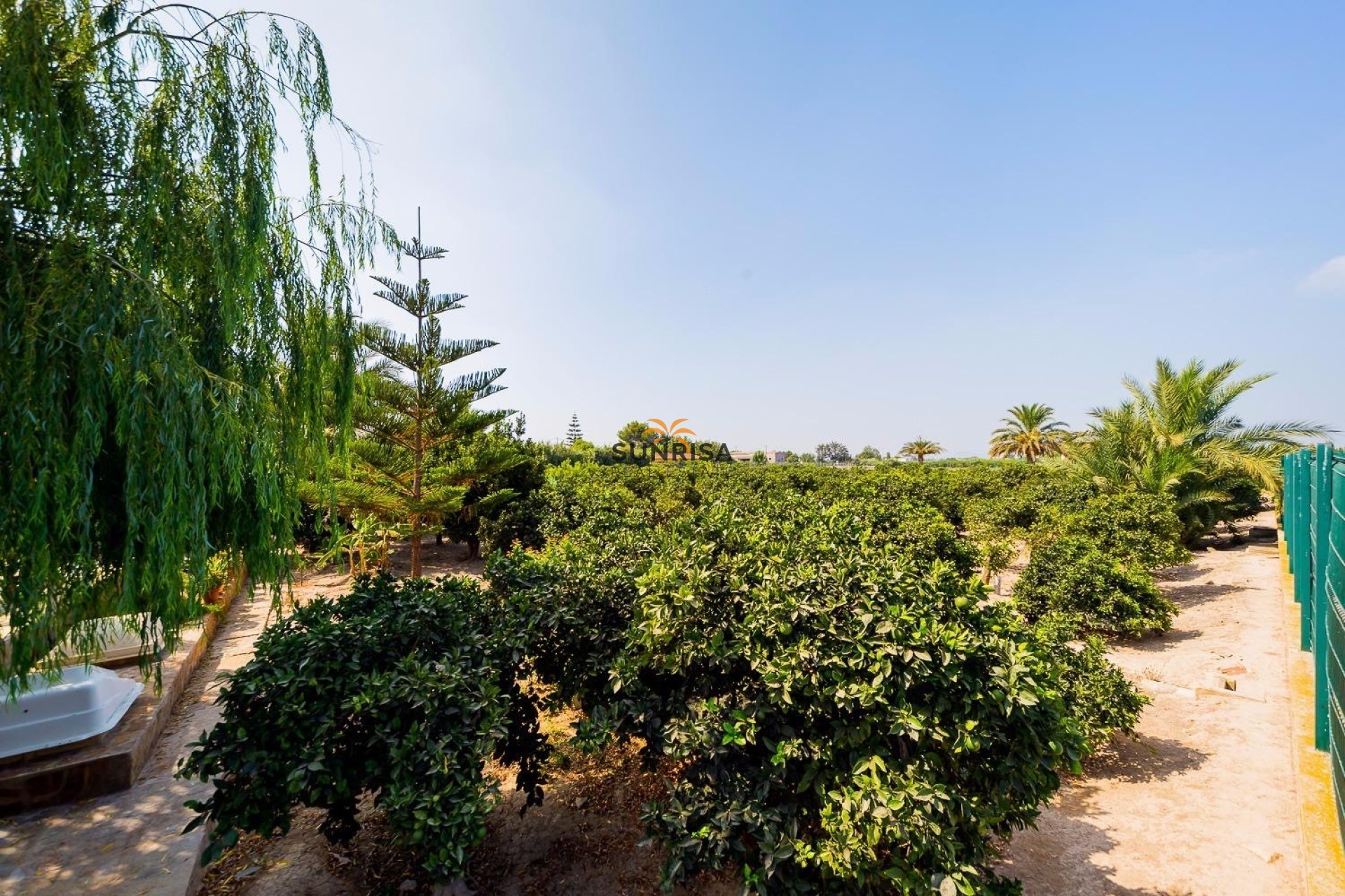 Revente - Finca - Almoradí