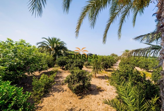 Finca · Herverkoop - Almoradí · Alicante · Spanje
