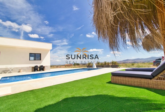 Villa · Reventa - Pinoso · Alicante · España