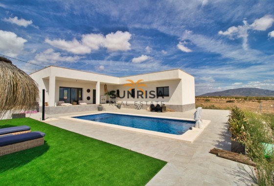 Villa · Reventa - Pinoso · Alicante · España