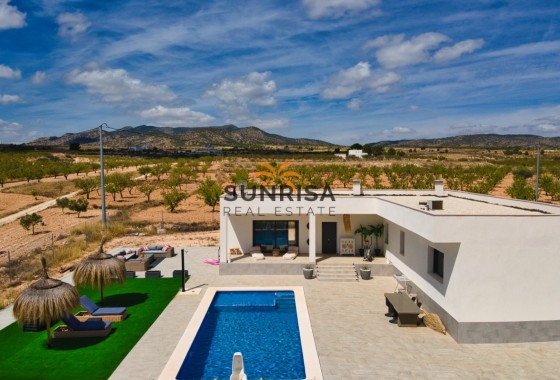 Villa · Reventa - Pinoso · Alicante · España