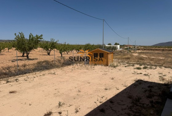 Villa · Reventa - Pinoso · Alicante · España