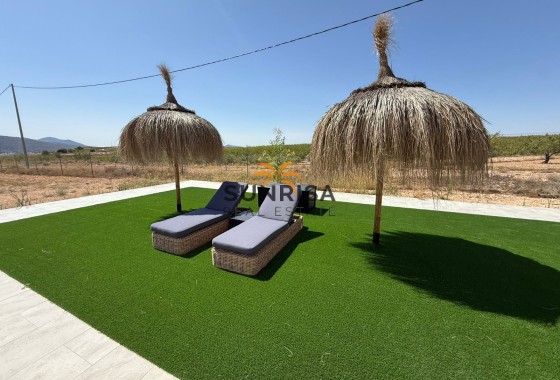 Villa · Reventa - Pinoso · Alicante · España