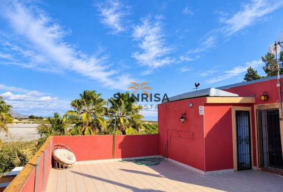 Finca · Reventa - Orihuela · Alicante · España