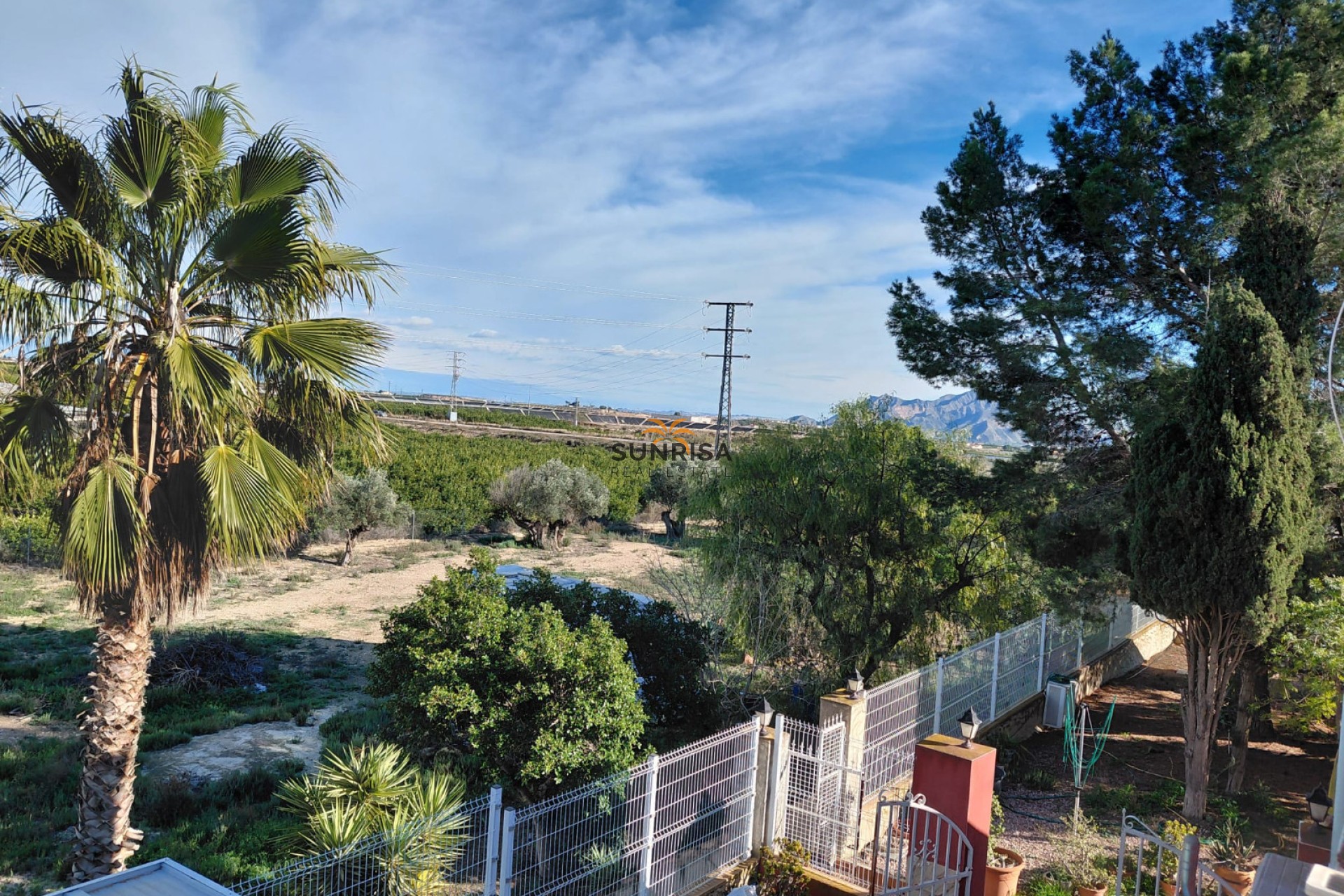 Reventa - Finca - Orihuela