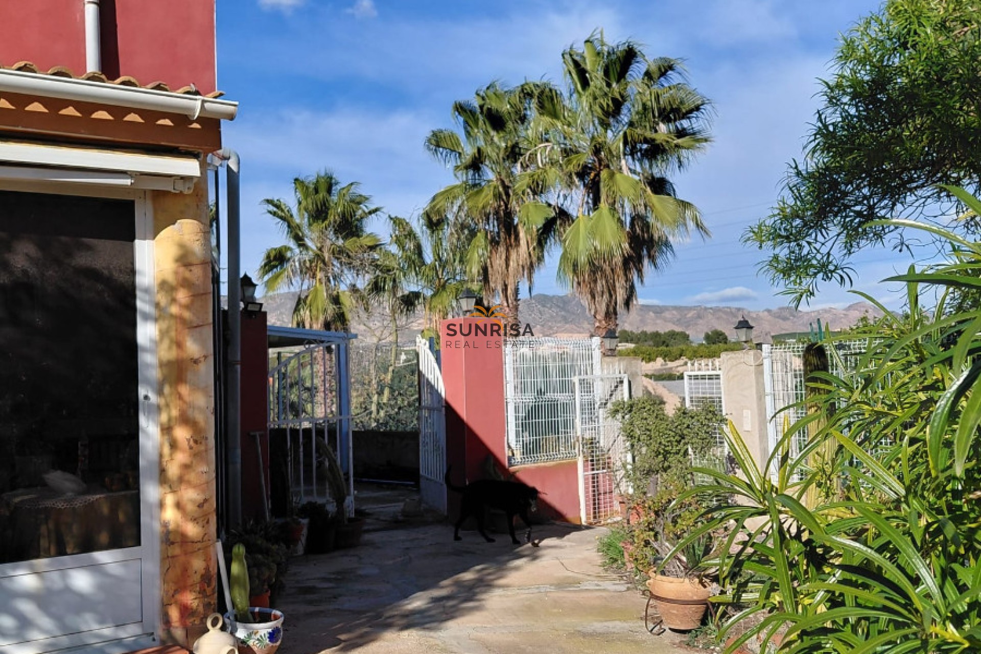 Reventa - Finca - Orihuela