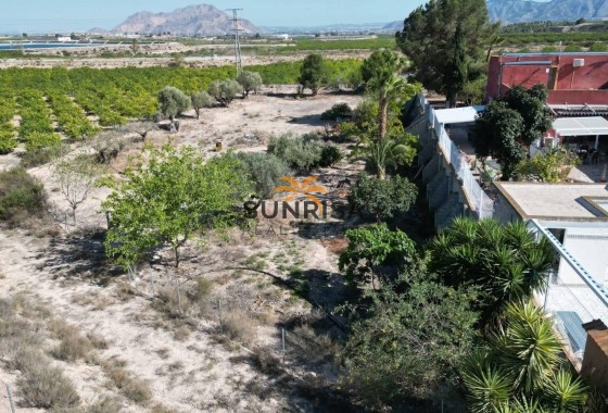 Finca · Reventa - Orihuela · Alicante · España