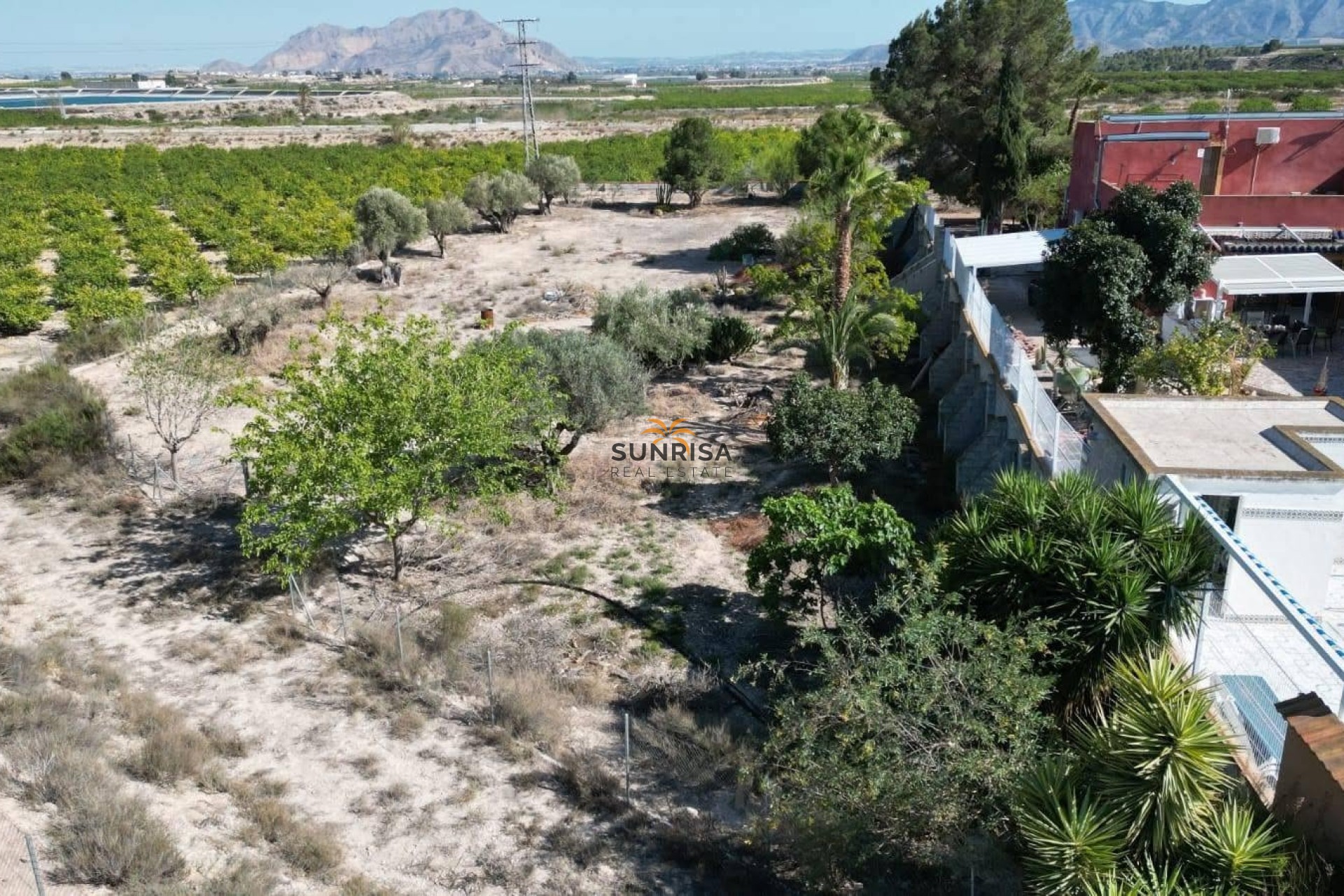 Reventa - Finca - Orihuela