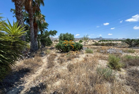Finca · Reventa - Orihuela · Alicante · España