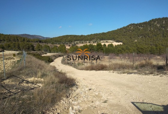 Landhuis · Herverkoop - Bullas · Murcia / Costa Calida · Spanje