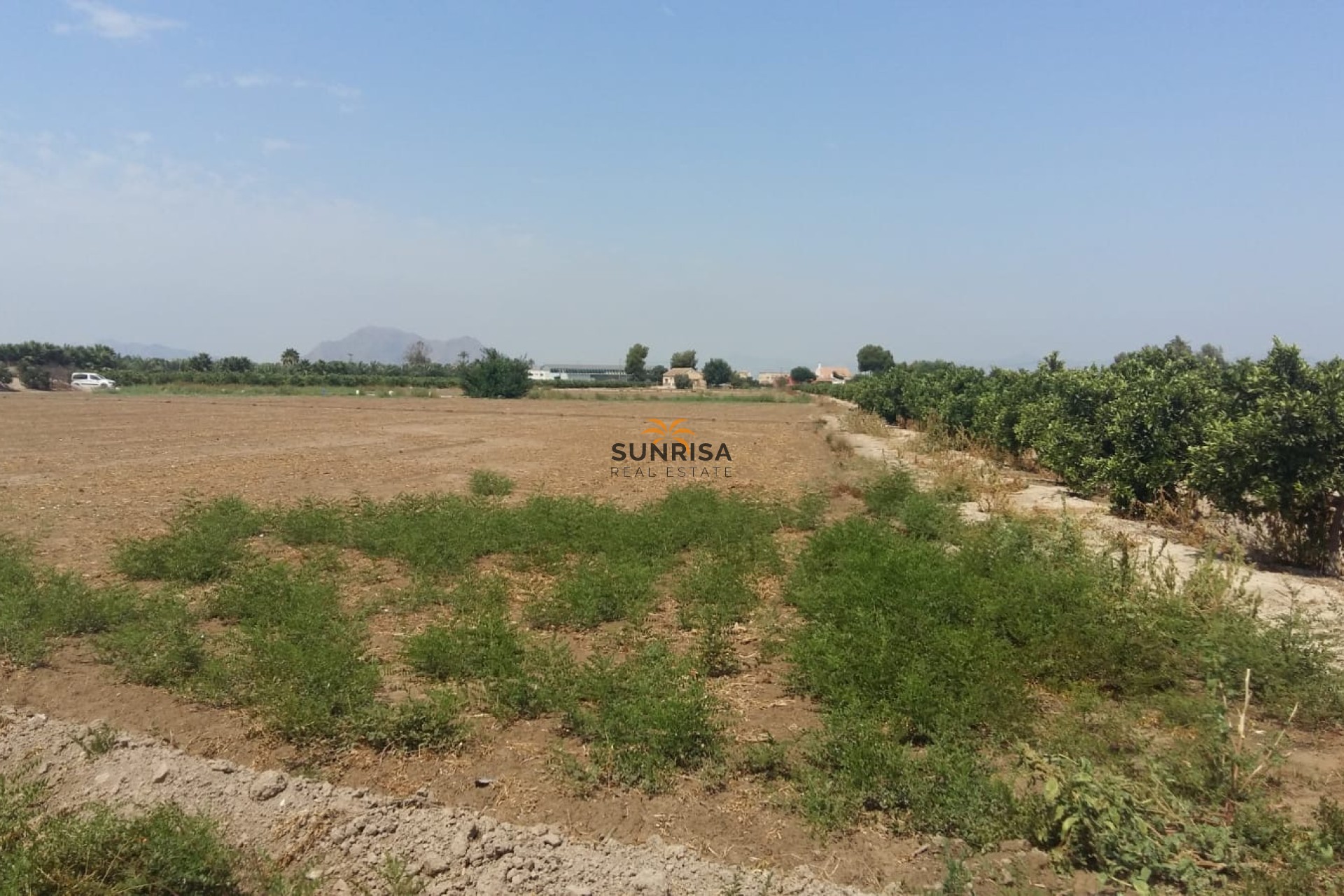 Reventa - Casa de campo - Daya Nueva