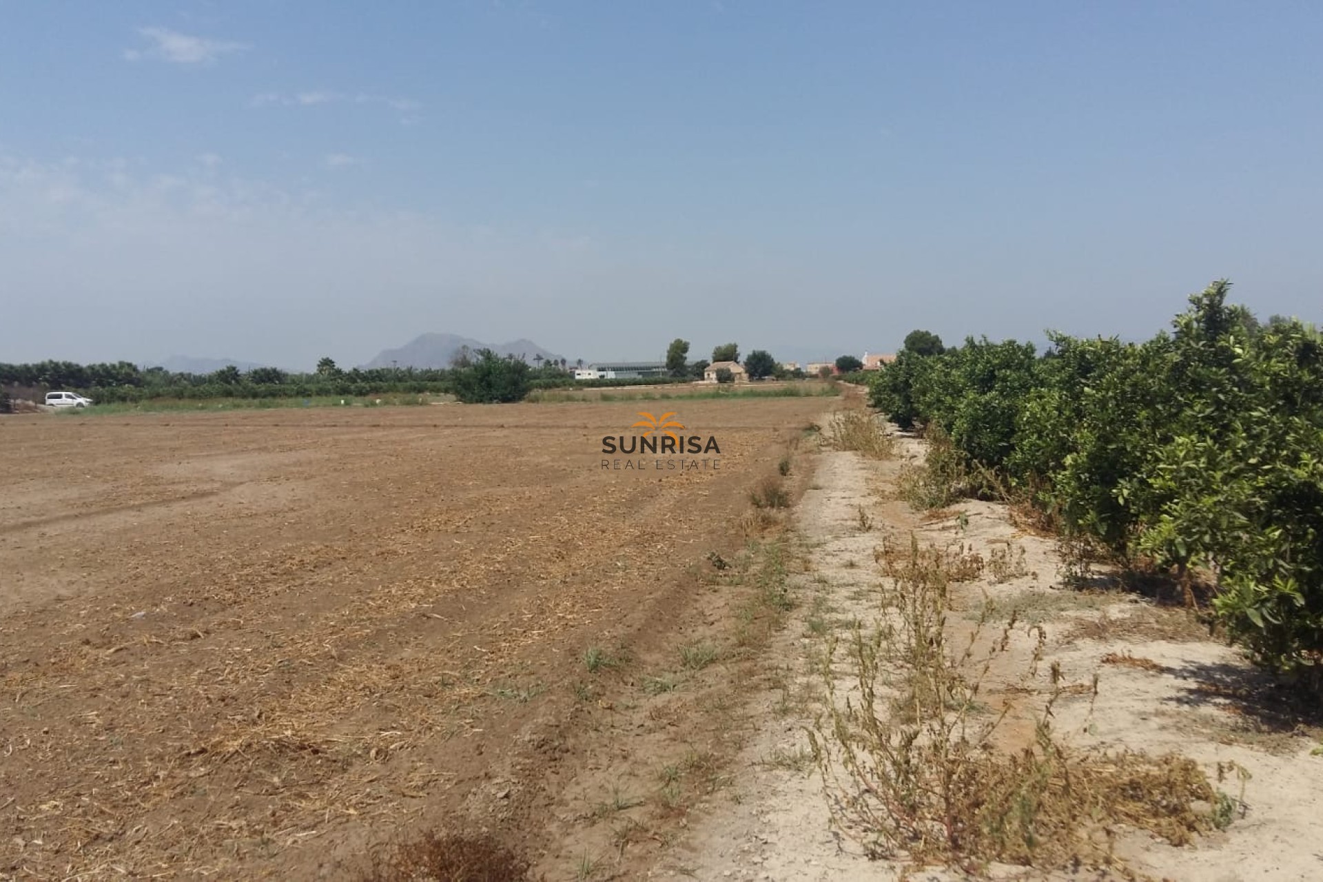Reventa - Casa de campo - Daya Nueva