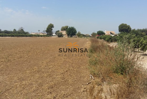 Casa de campo · Reventa - Daya Nueva · Alicante · España