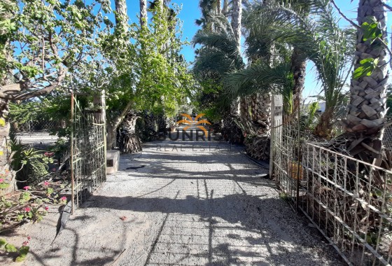 Autre · Revente - Orihuela · Alicante · Espagne