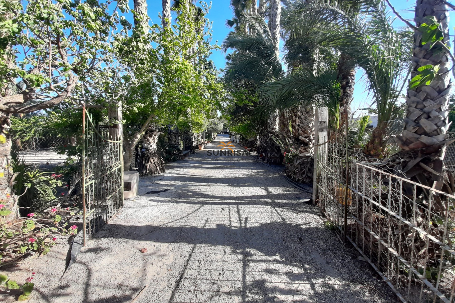 Resale - Other - Orihuela