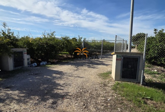 Casa de campo · Reventa - Albatera · Alicante · España