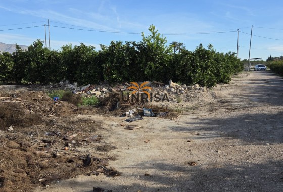 Casa de campo · Reventa - Albatera · Alicante · España