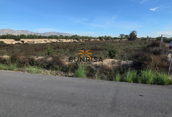 Casa de campo · Reventa - Albatera · Alicante · España