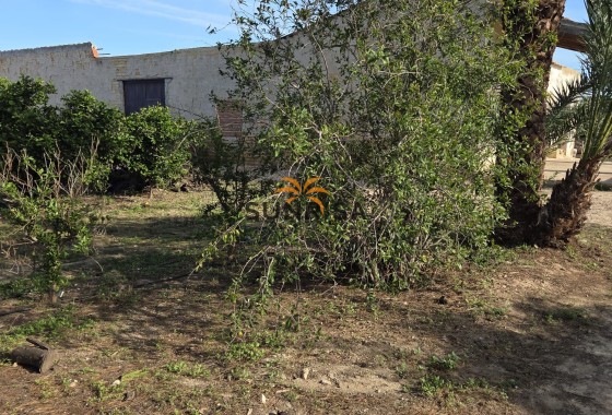 Casa de campo · Reventa - Albatera · Alicante · España