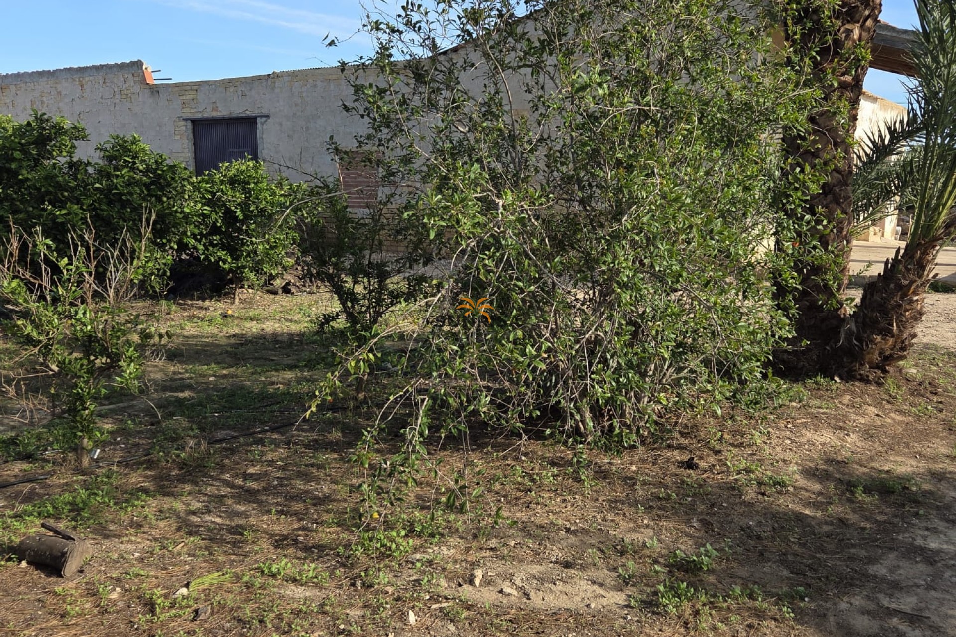 Reventa - Casa de campo - Albatera