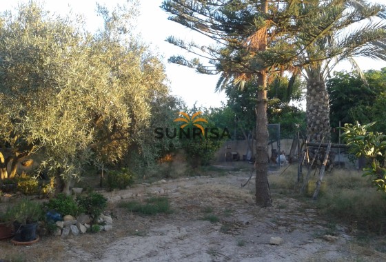 Casa de campo · Reventa - Orihuela · Alicante · España