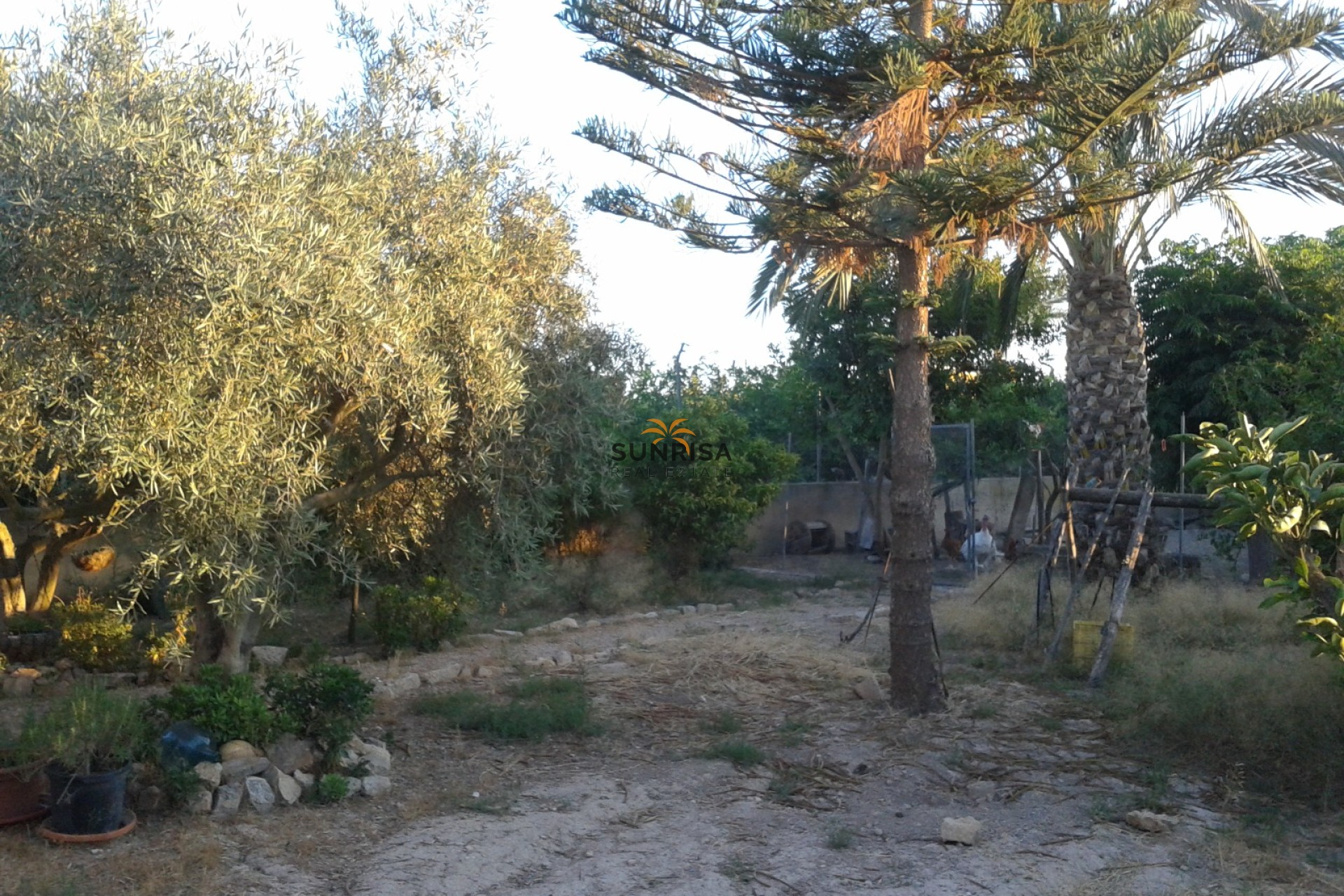 Revente - Maison de campagne - Orihuela