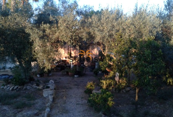 Casa de campo · Reventa - Orihuela · Alicante · España