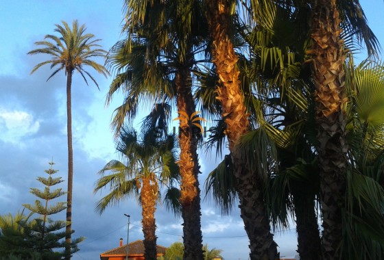 Casa de campo · Reventa - Orihuela · Alicante · España