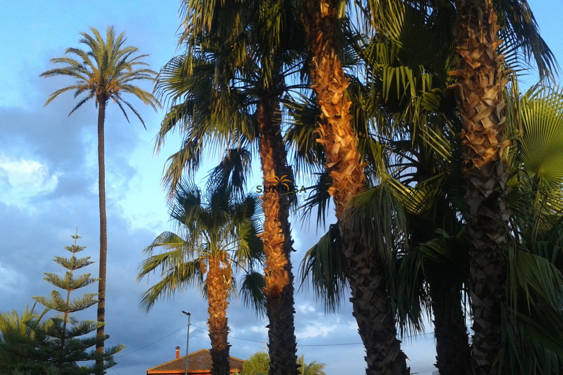 Revente - Maison de campagne - Orihuela