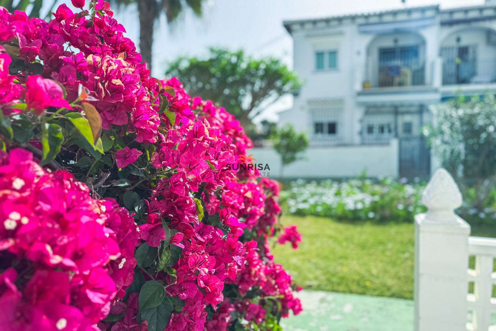 Reventa - Bungalow - Torrevieja