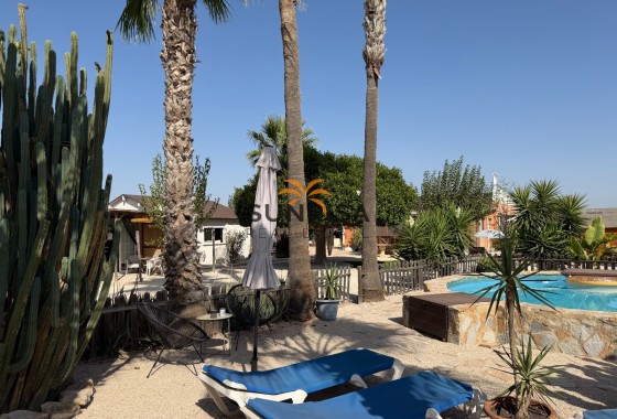 Finca · Revente - Elche Pedanías · La Marina · Alicante · Espagne