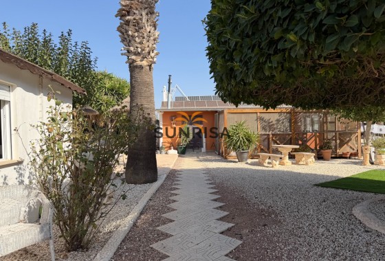 Finca · Revente - Elche Pedanías · La Marina · Alicante · Espagne