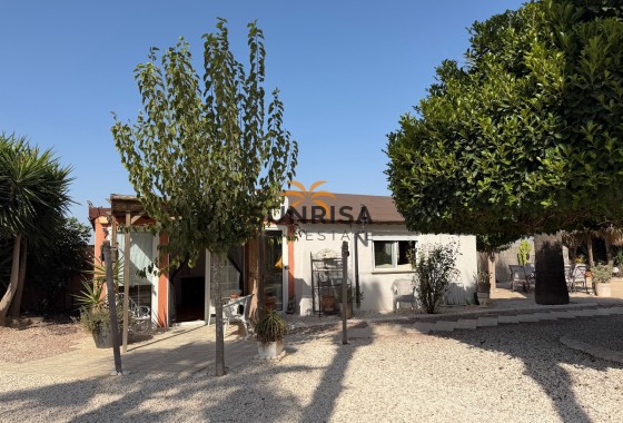 Finca · Revente - Elche Pedanías · La Marina · Alicante · Espagne
