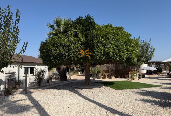 Finca · Revente - Elche Pedanías · La Marina · Alicante · Espagne