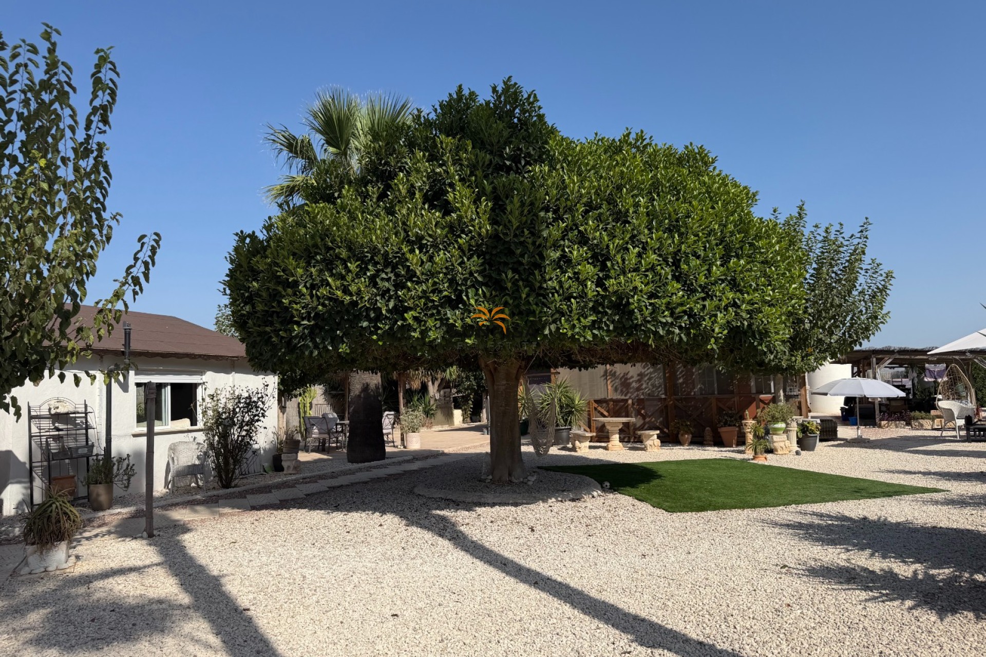Revente - Finca - Elche Pedanías