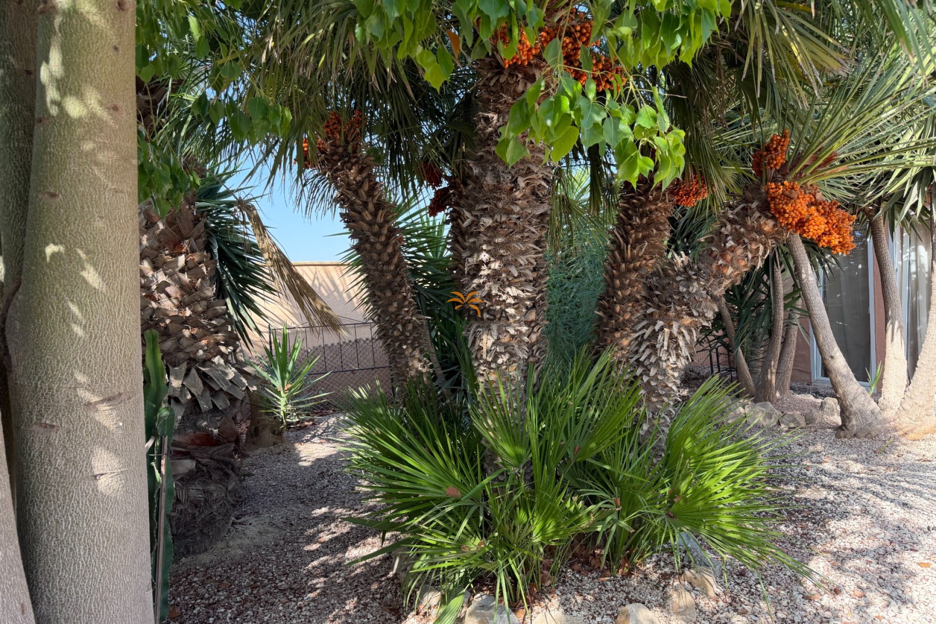 Revente - Finca - Elche Pedanías