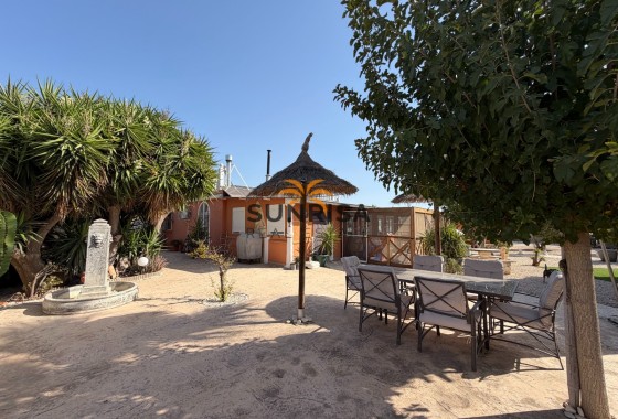 Finca · Revente - Elche Pedanías · La Marina · Alicante · Espagne
