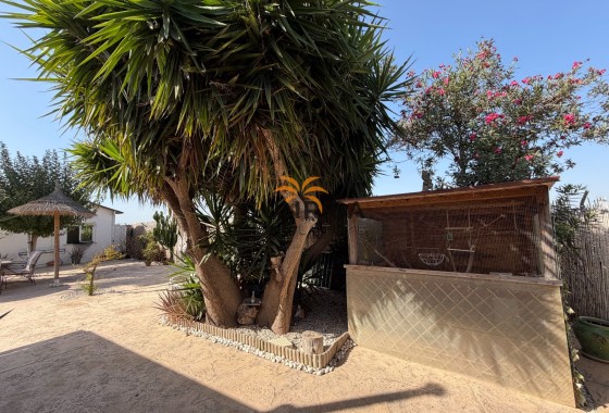 Finca · Revente - Elche Pedanías · La Marina · Alicante · Espagne
