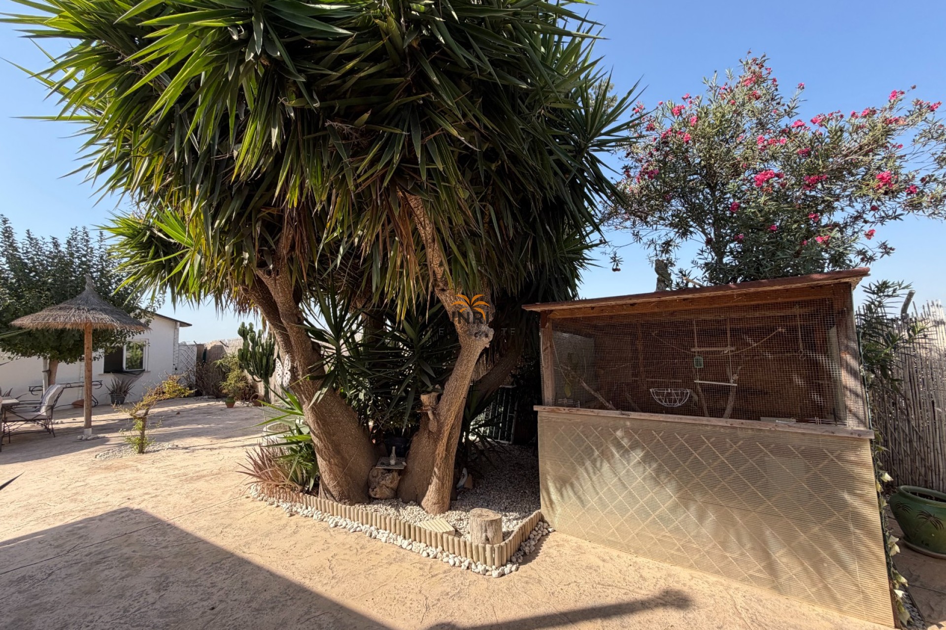 Revente - Finca - Elche Pedanías