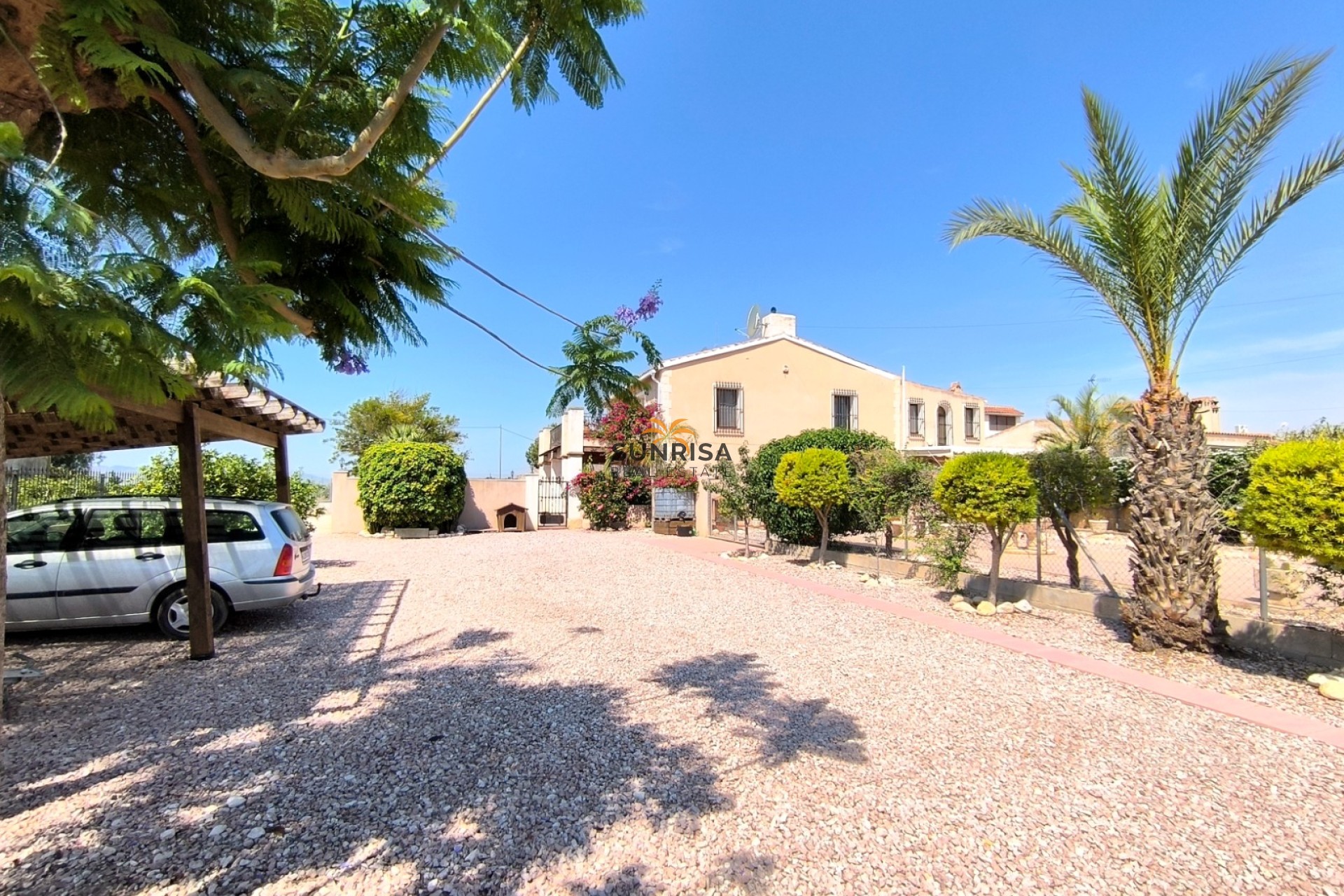 Revente - Finca - Albatera