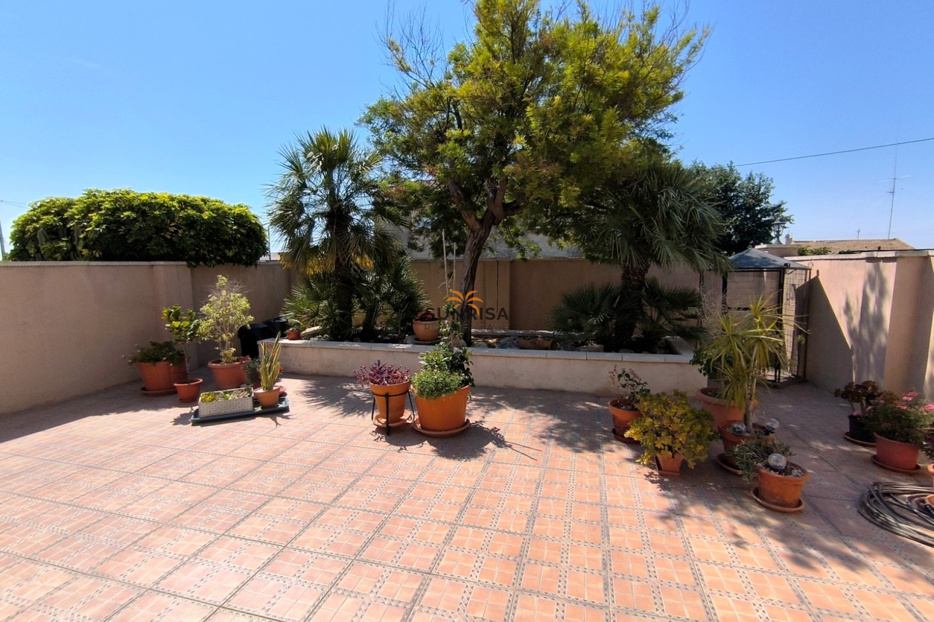Revente - Finca - Albatera